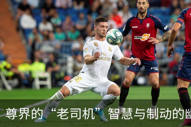 尊界的“老司机”智慧与制动的幽默碰撞